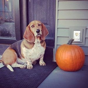 Meet your Posher, Jaden